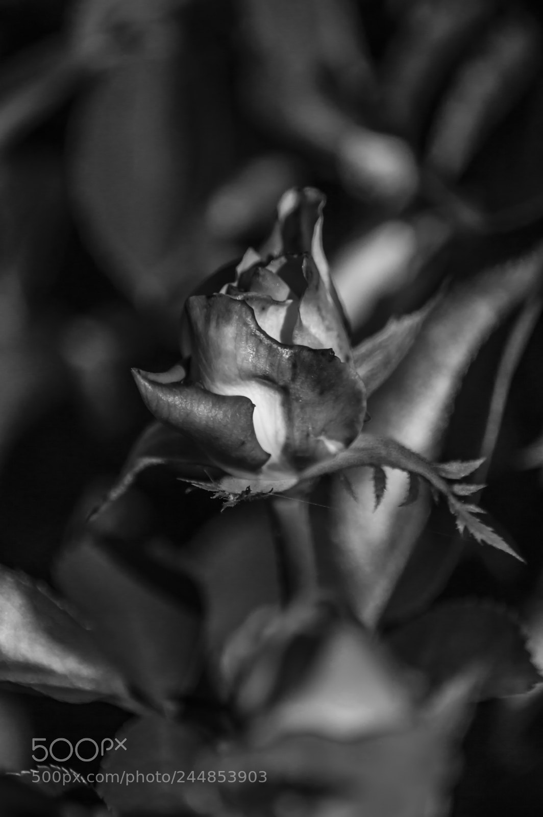 Nikon D3200 sample photo. Deteniendo el tiempo photography
