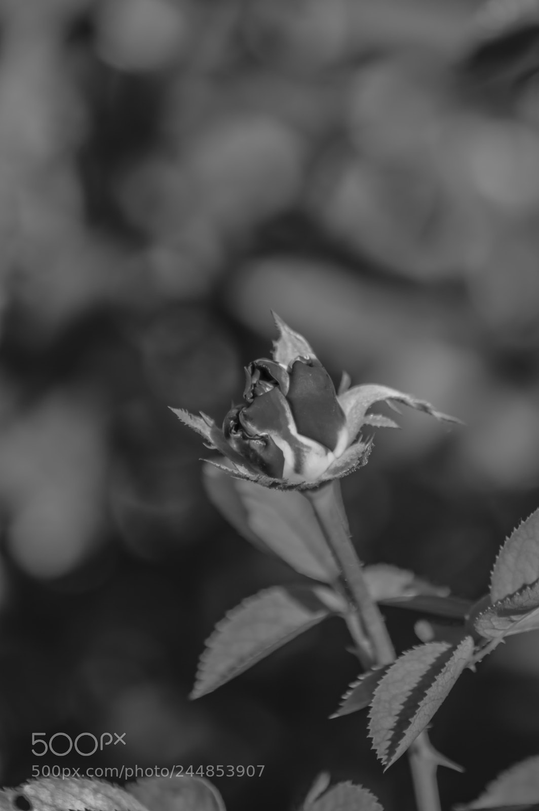 Nikon D3200 sample photo. Deteniendo el tiempo photography