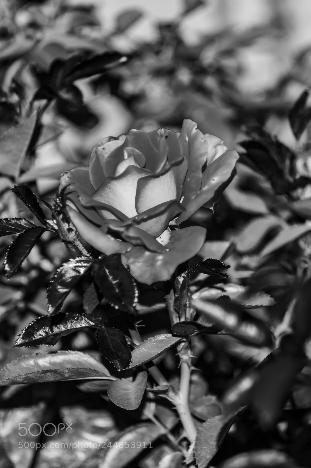 Nikon D3200 sample photo. Deteniendo el tiempo photography
