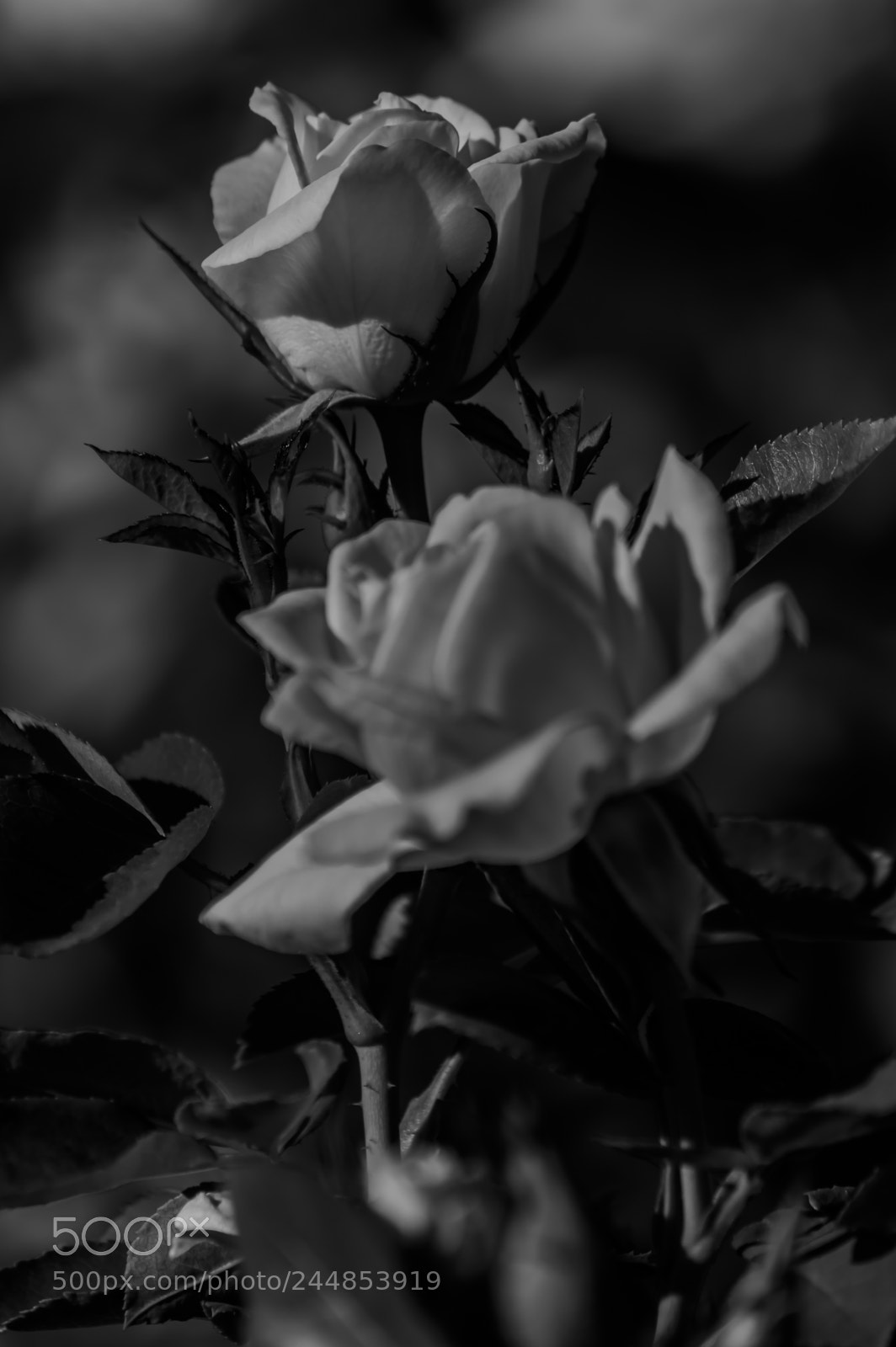 Nikon D3200 sample photo. Deteniendo el tiempo photography