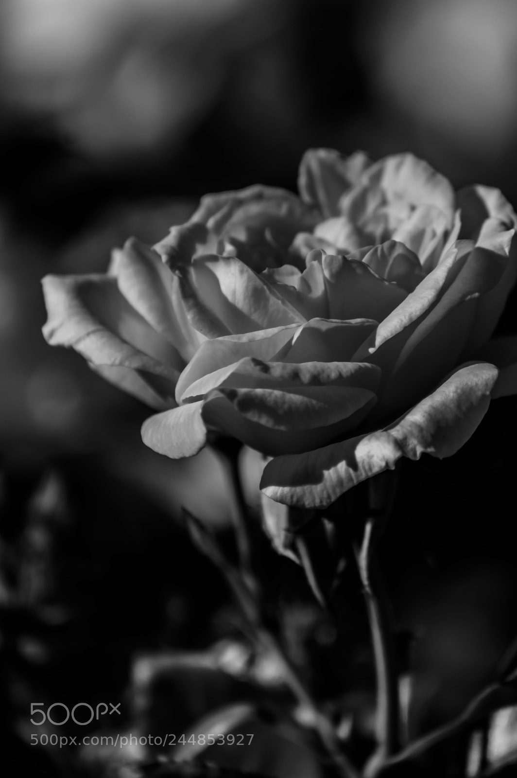 Nikon D3200 sample photo. Deteniendo el tiempo photography