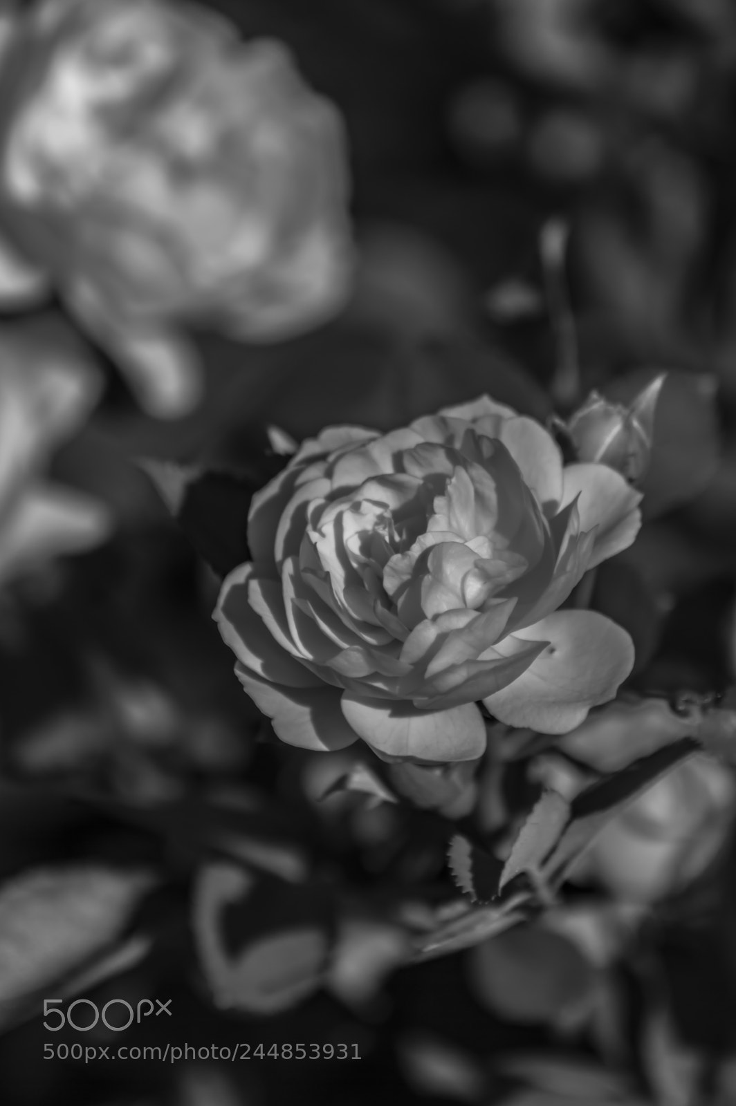 Nikon D3200 sample photo. Deteniendo el tiempo photography