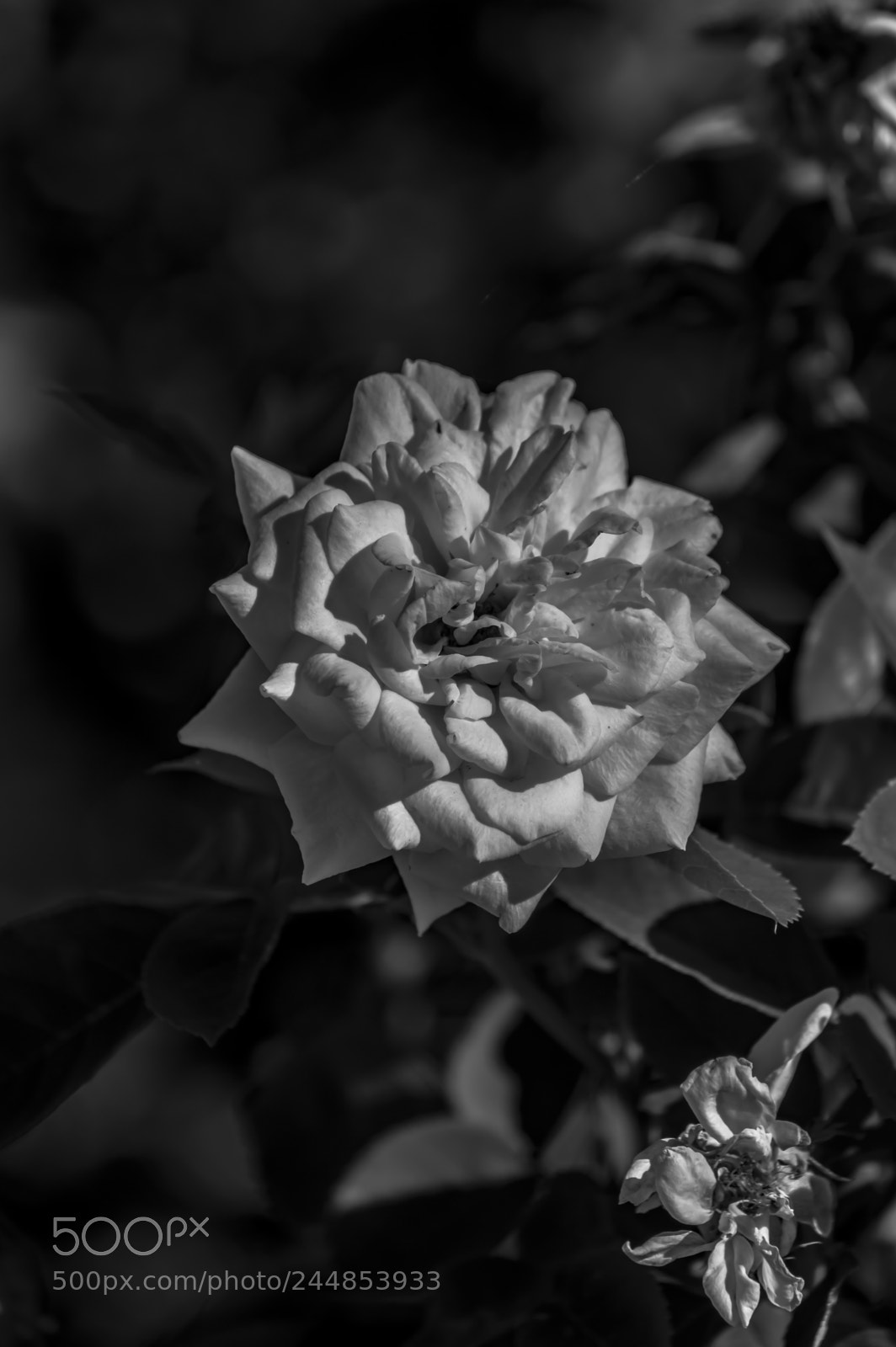 Nikon D3200 sample photo. Deteniendo el tiempo photography