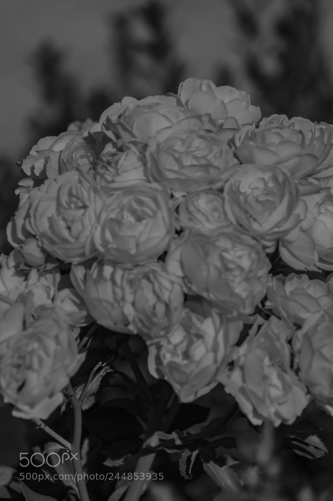 Nikon D3200 sample photo. Deteniendo el tiempo photography