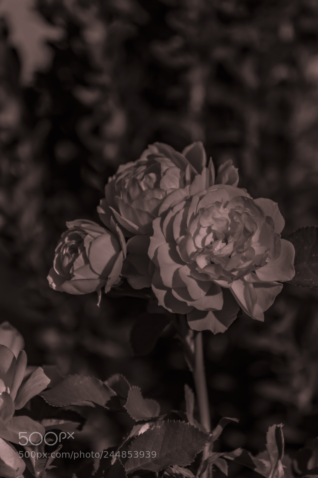 Nikon D3200 sample photo. Deteniendo el tiempo photography