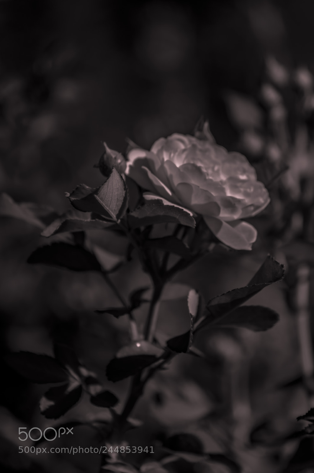 Nikon D3200 sample photo. Deteniendo el tiempo photography