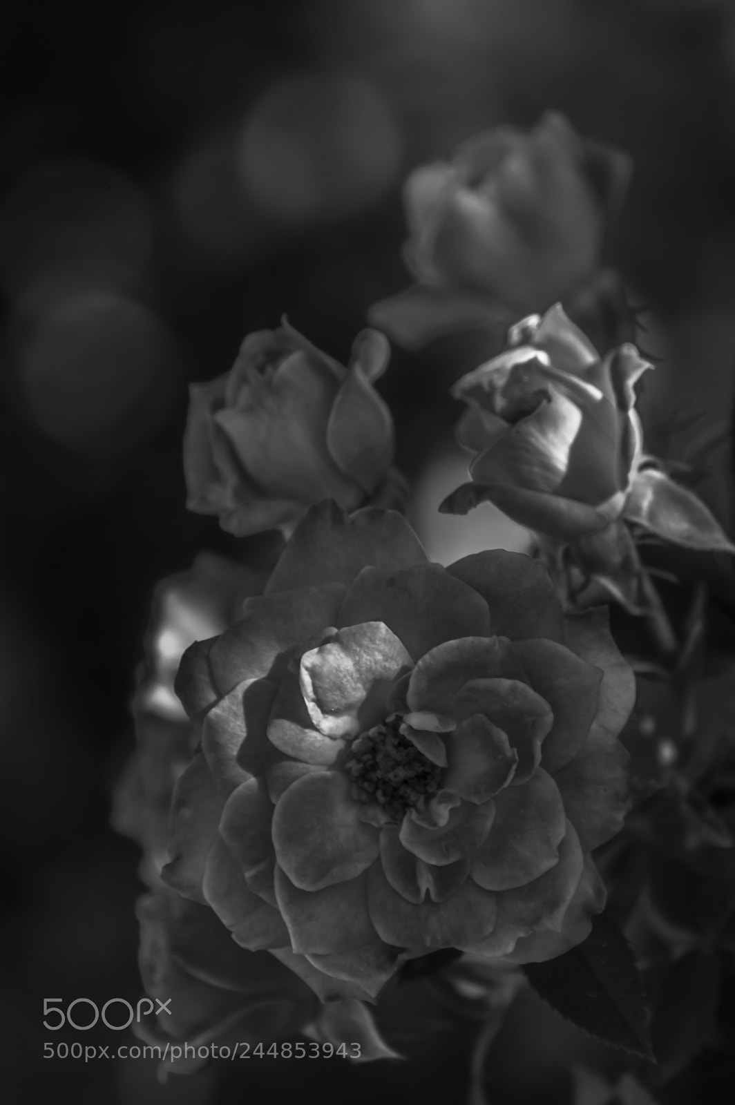 Nikon D3200 sample photo. Deteniendo el tiempo photography
