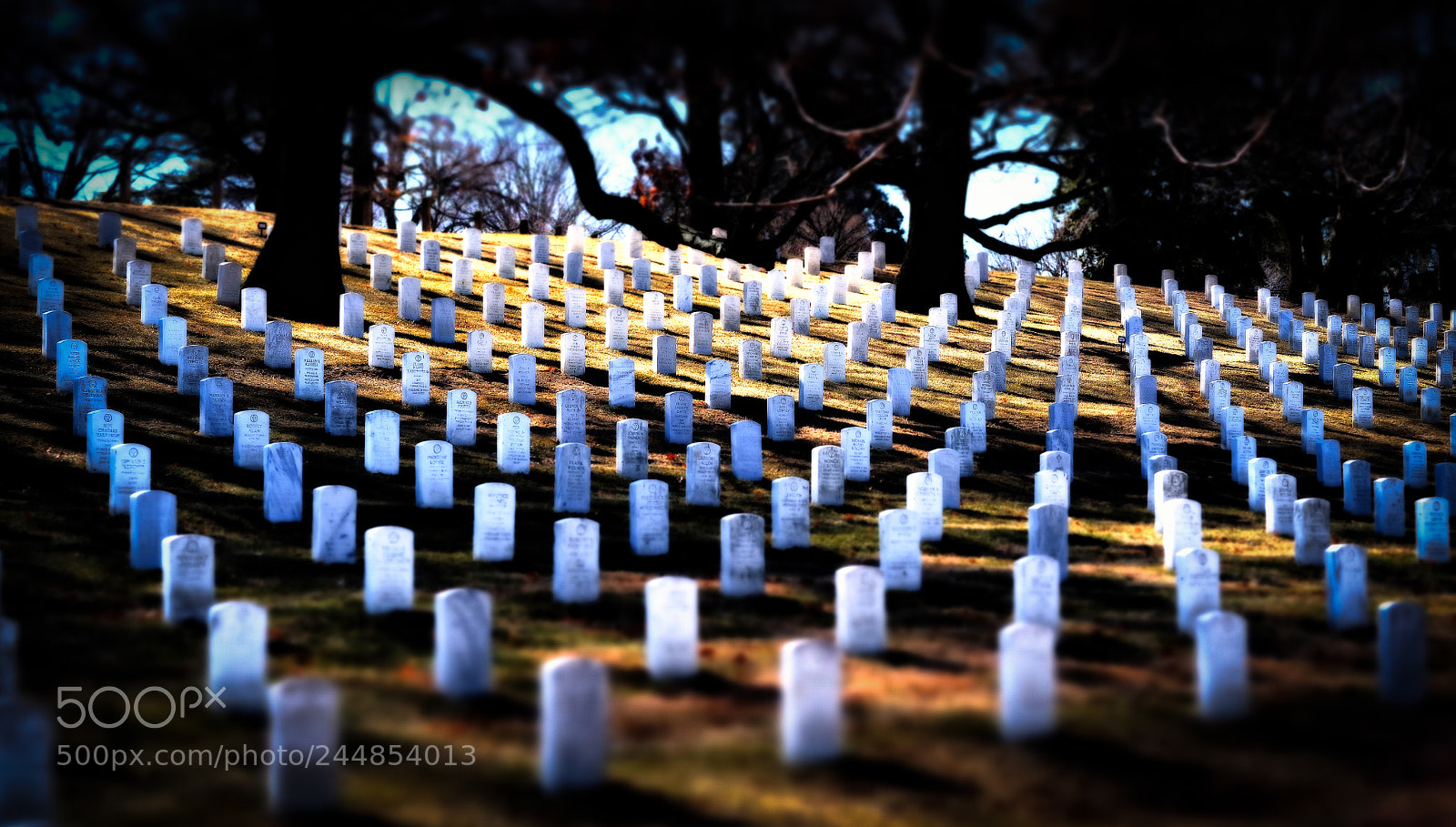 Fujifilm X-T2 sample photo. The quiet graves of photography