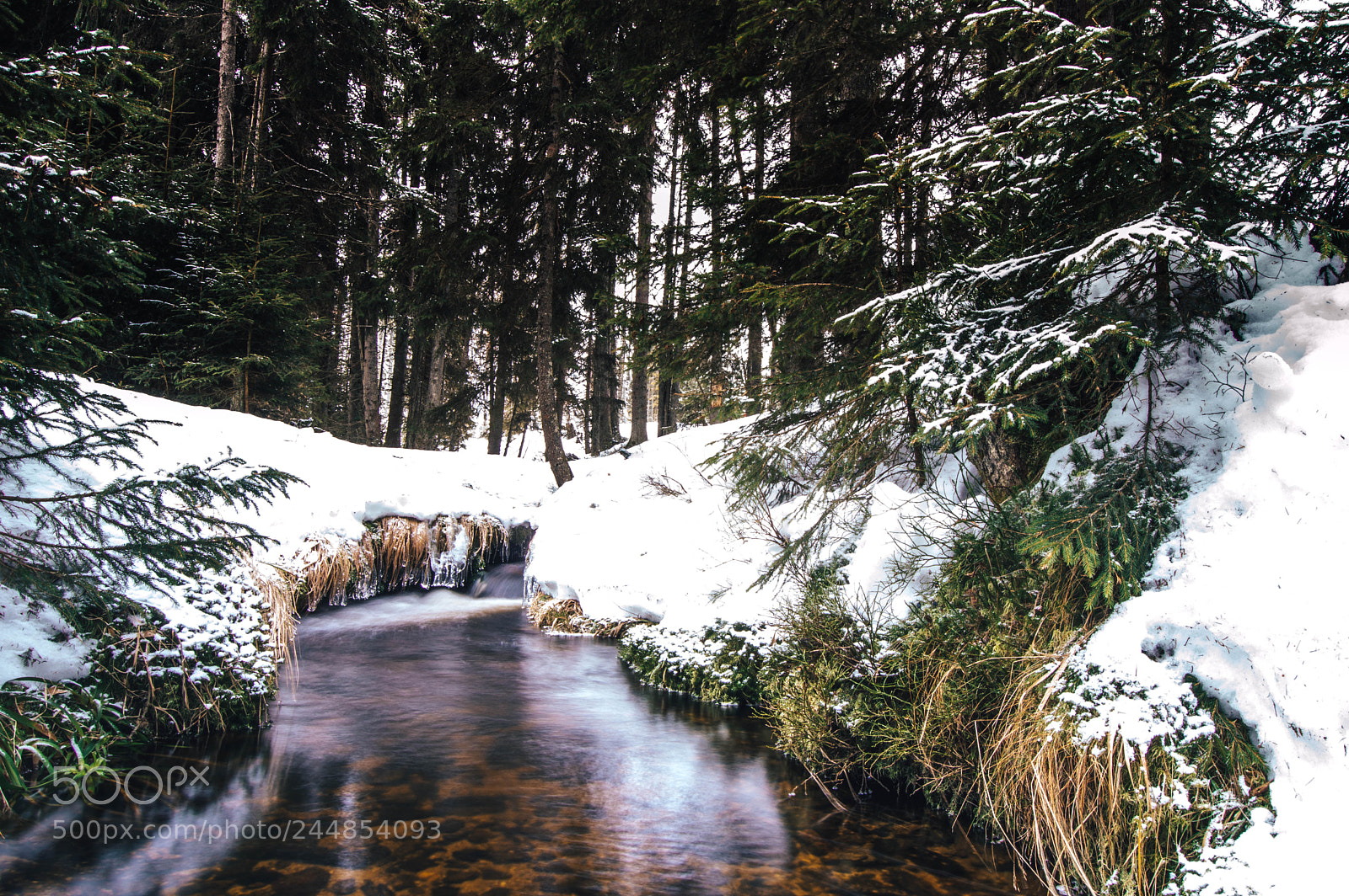 Nikon D3200 sample photo. Šumava(of ) photography