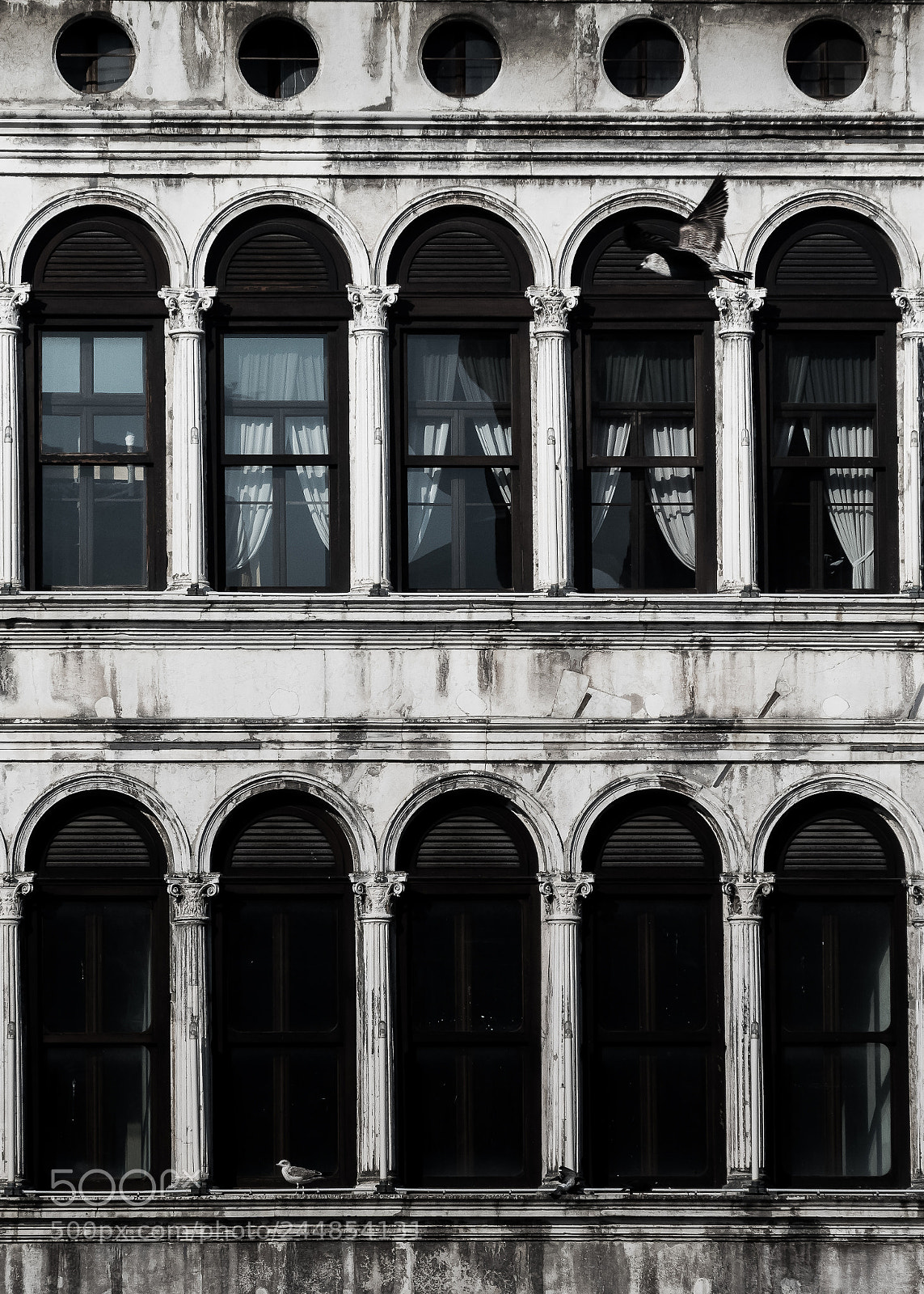 Nikon 1 J5 sample photo. Venice_09 photography