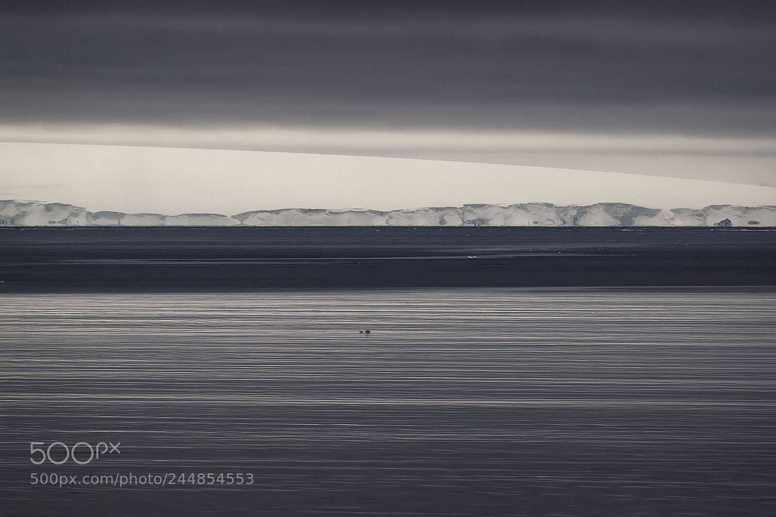 Canon EOS-1D X Mark II sample photo. Joinville island , frozen sea. photography