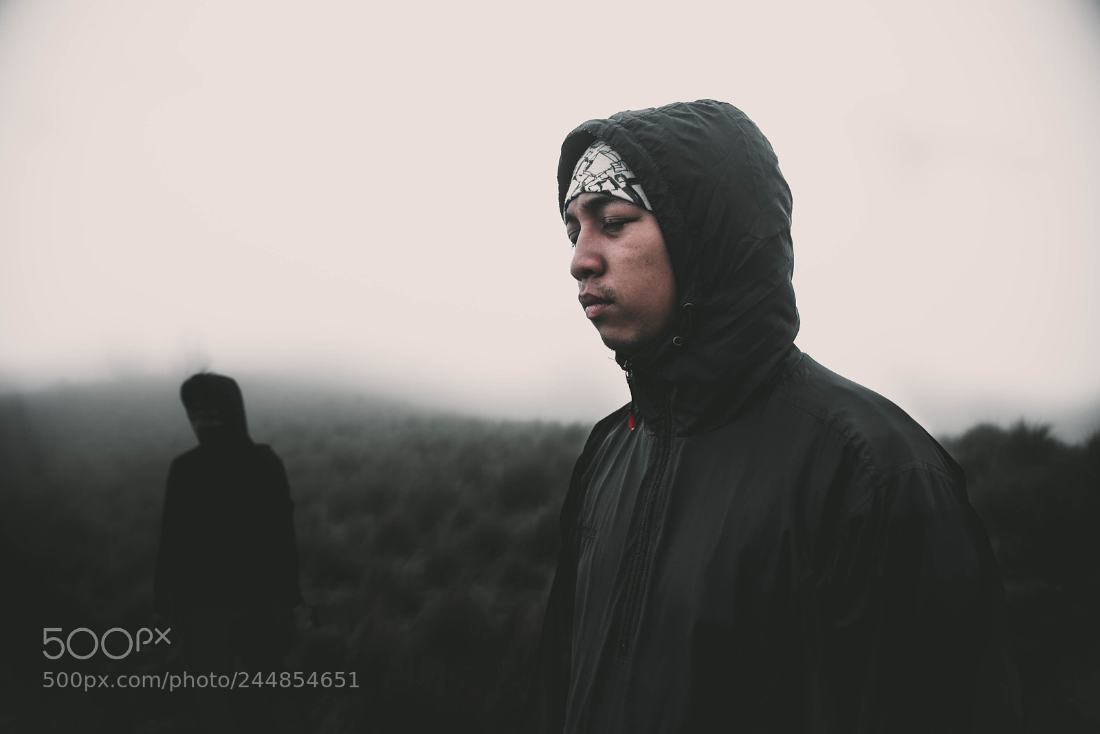 Nikon D600 sample photo. Untitled photography