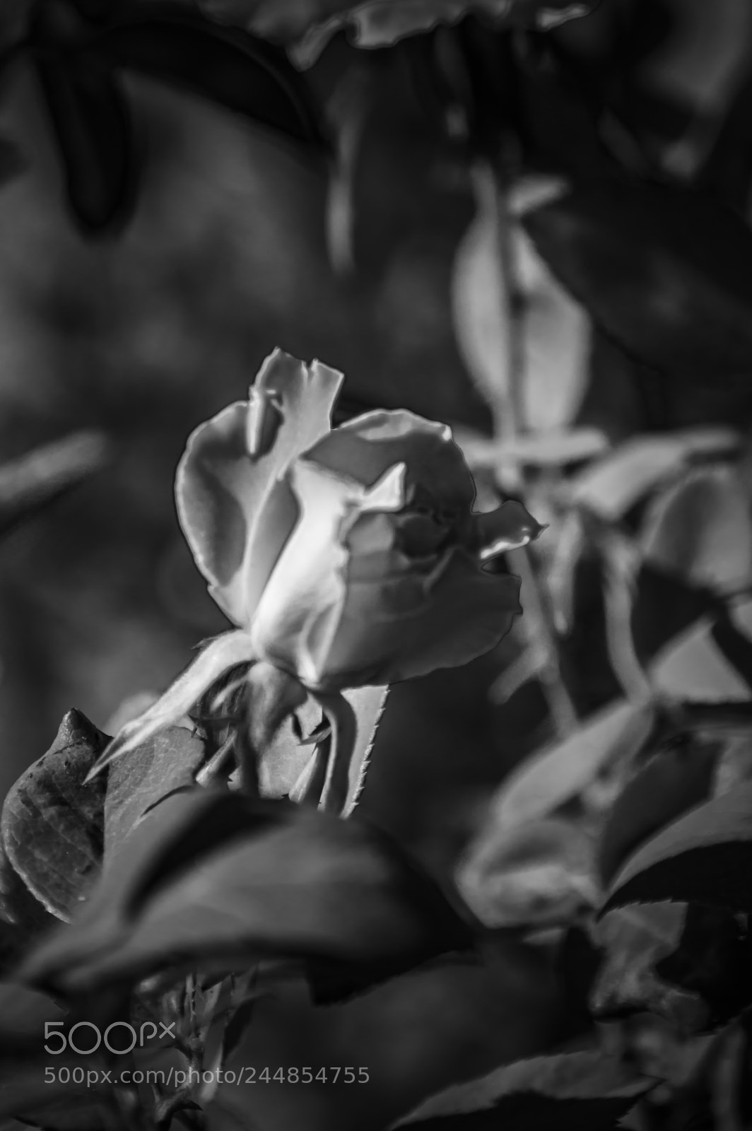 Nikon D3200 sample photo. Deteniendo el tiempo photography