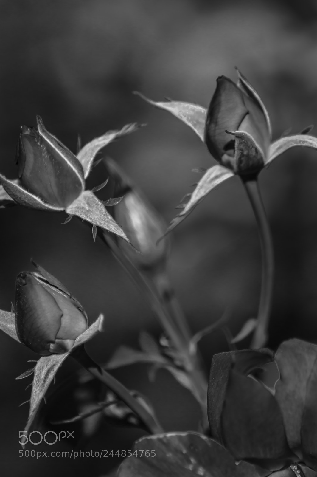 Nikon D3200 sample photo. Deteniendo el tiempo photography