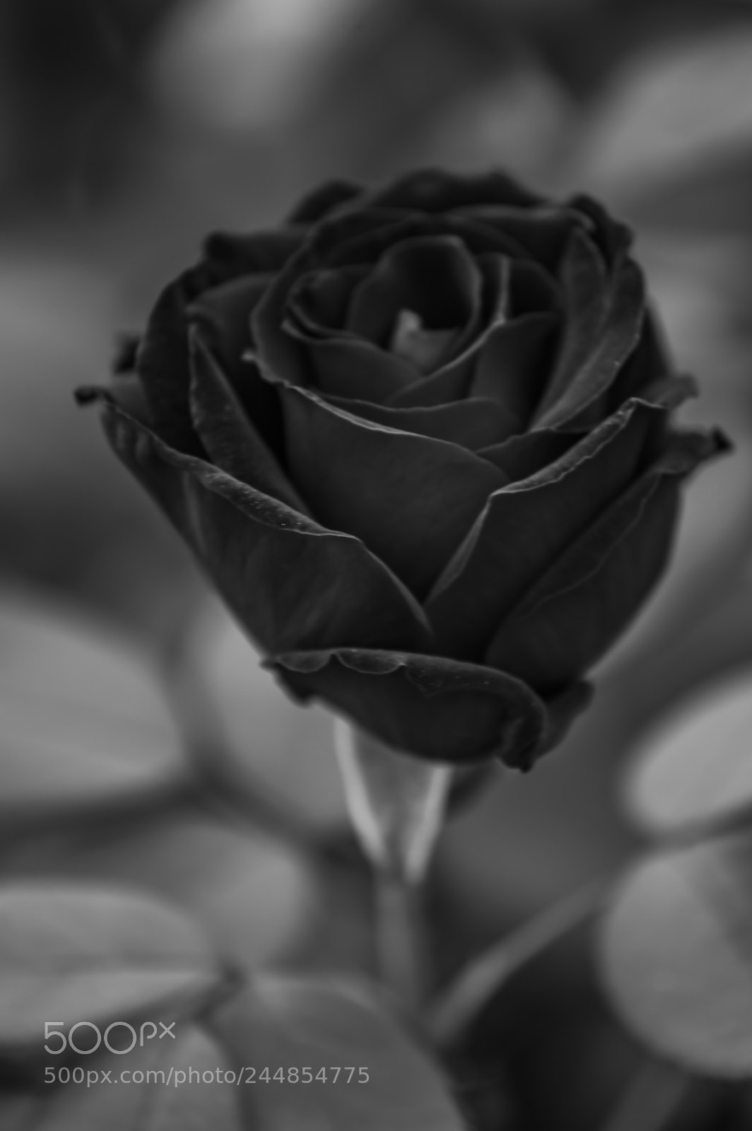 Nikon D3200 sample photo. Deteniendo el tiempo photography