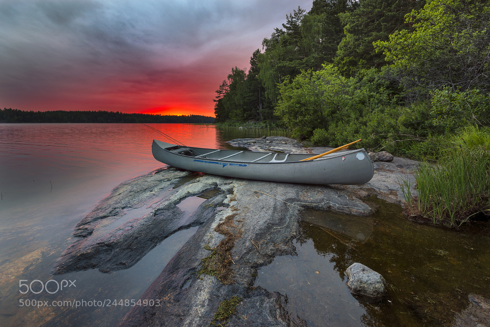 Nikon D800 sample photo. Likstammen photography