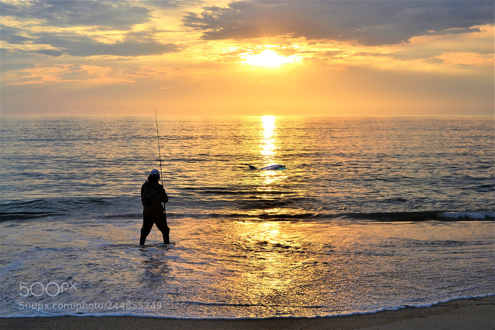 Nikon D3100 sample photo. Golden beach photography