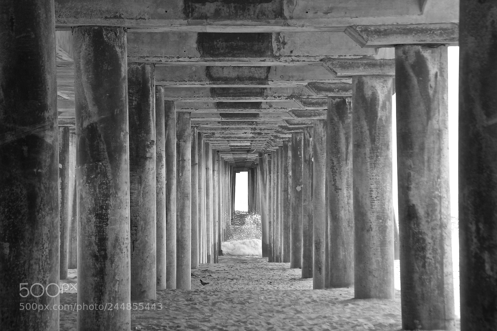 Canon EOS 60D sample photo. Huntington beach pier photography