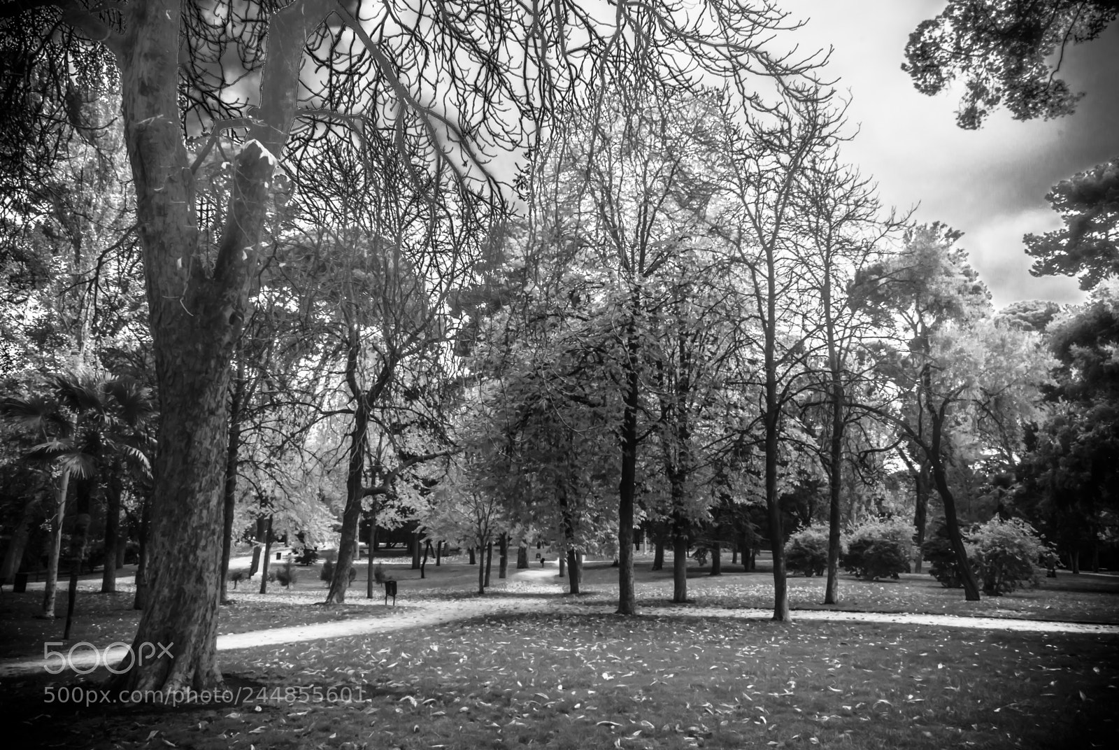 Nikon D3200 sample photo. Deteniendo el tiempo photography