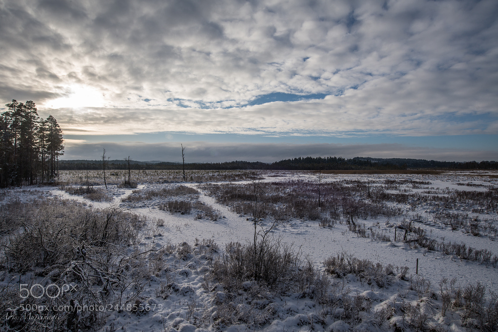 Nikon D610 sample photo. Untitled photography