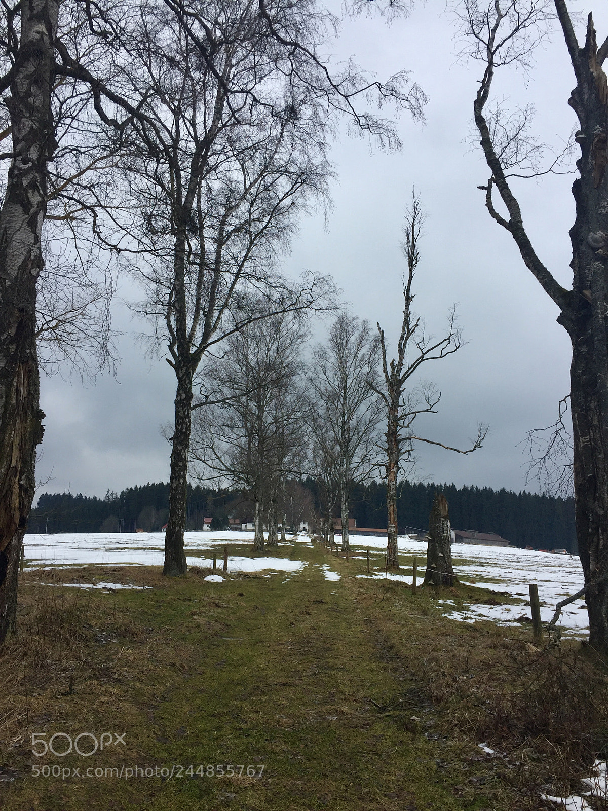 Apple iPhone 6 sample photo. Lipno ?? photography