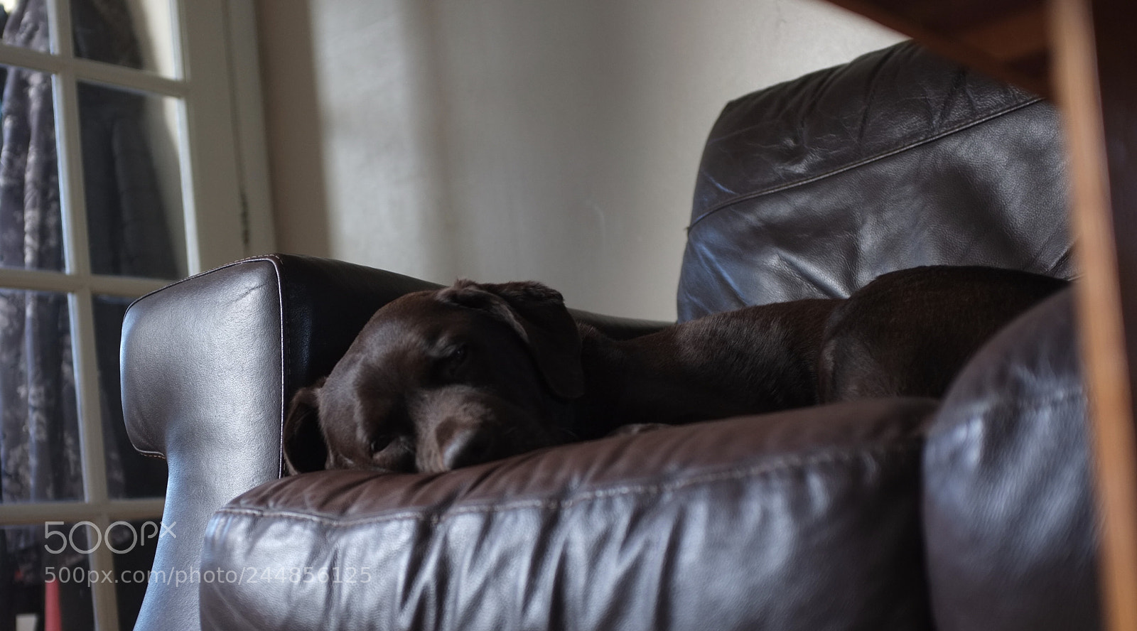Fujifilm FinePix X100 sample photo. Sleep. photography
