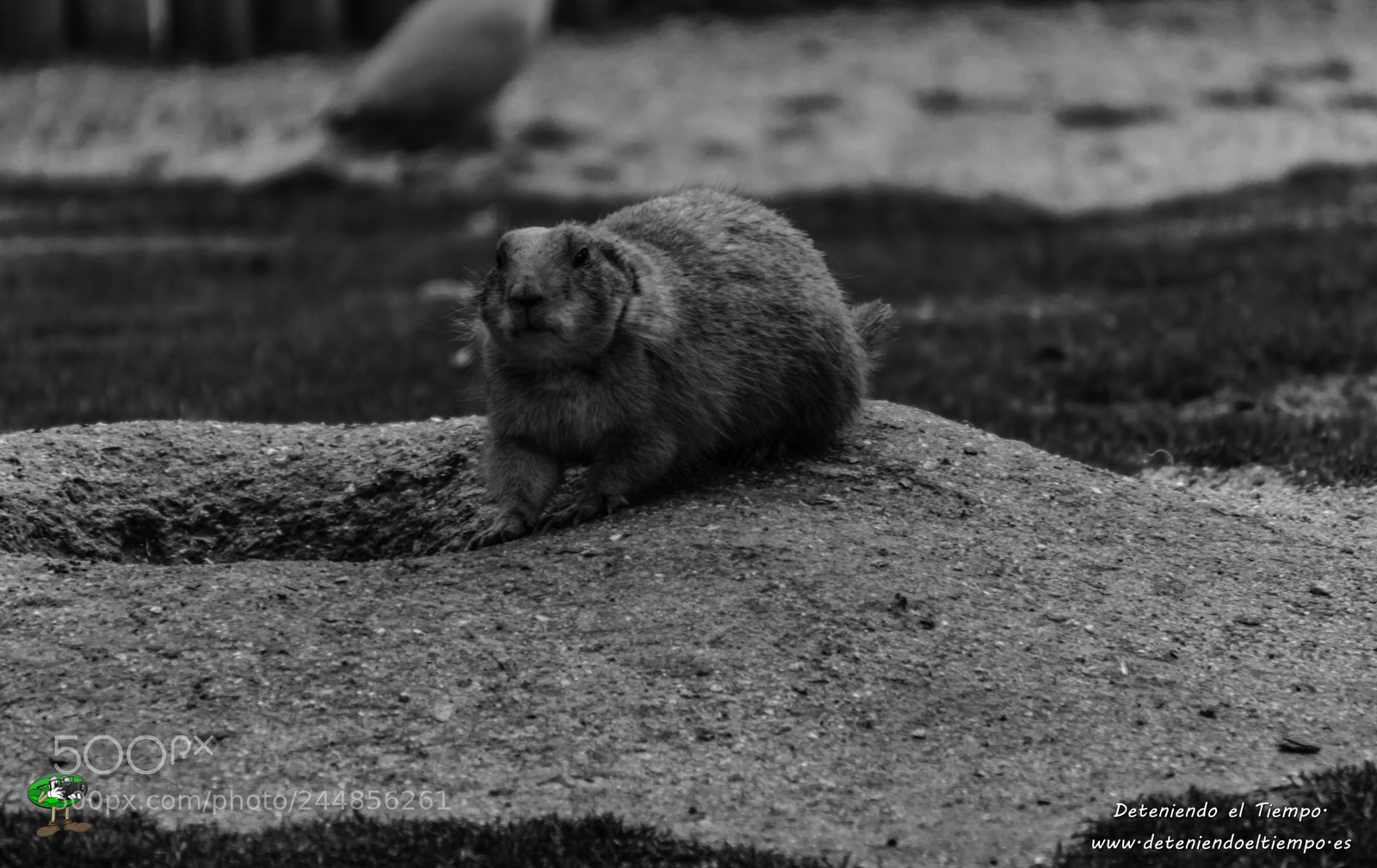 Nikon D3200 sample photo. Deteniendo el tiempo photography