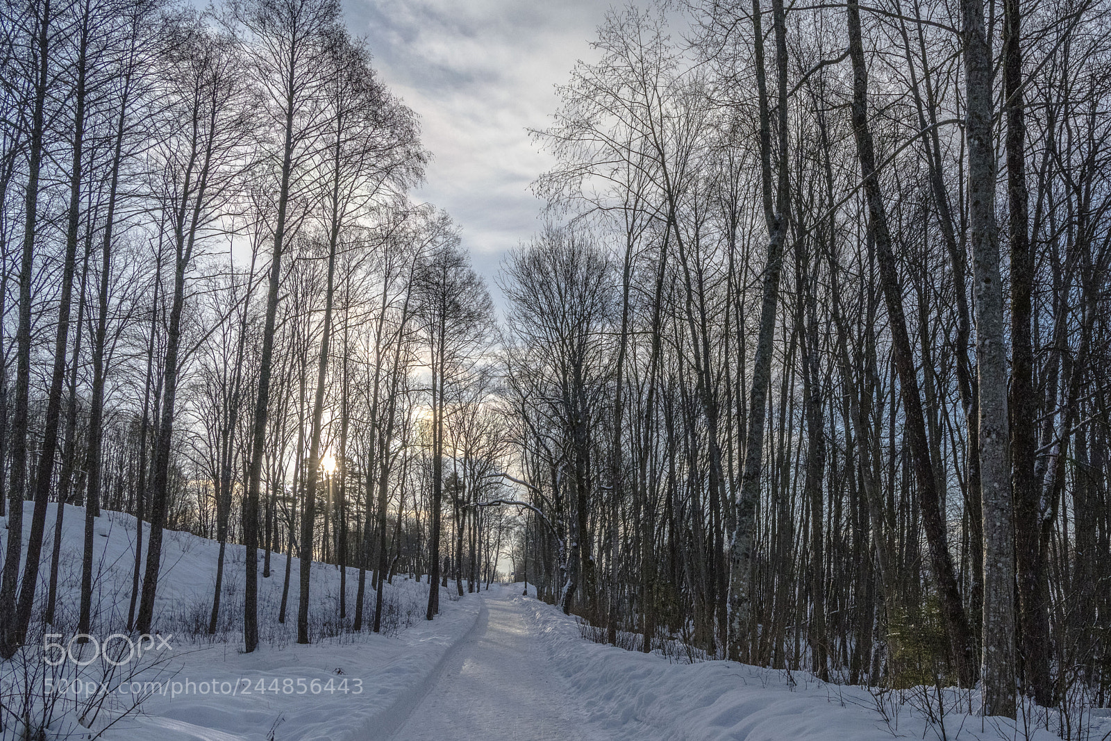 Nikon D850 sample photo. Saturday walk photography