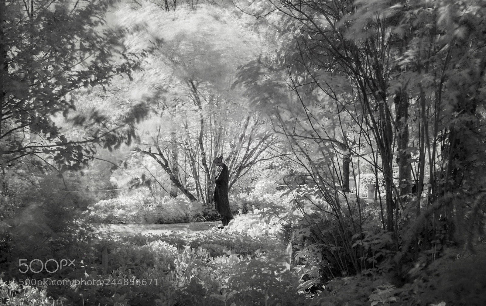 Nikon D5500 sample photo. Venus photography