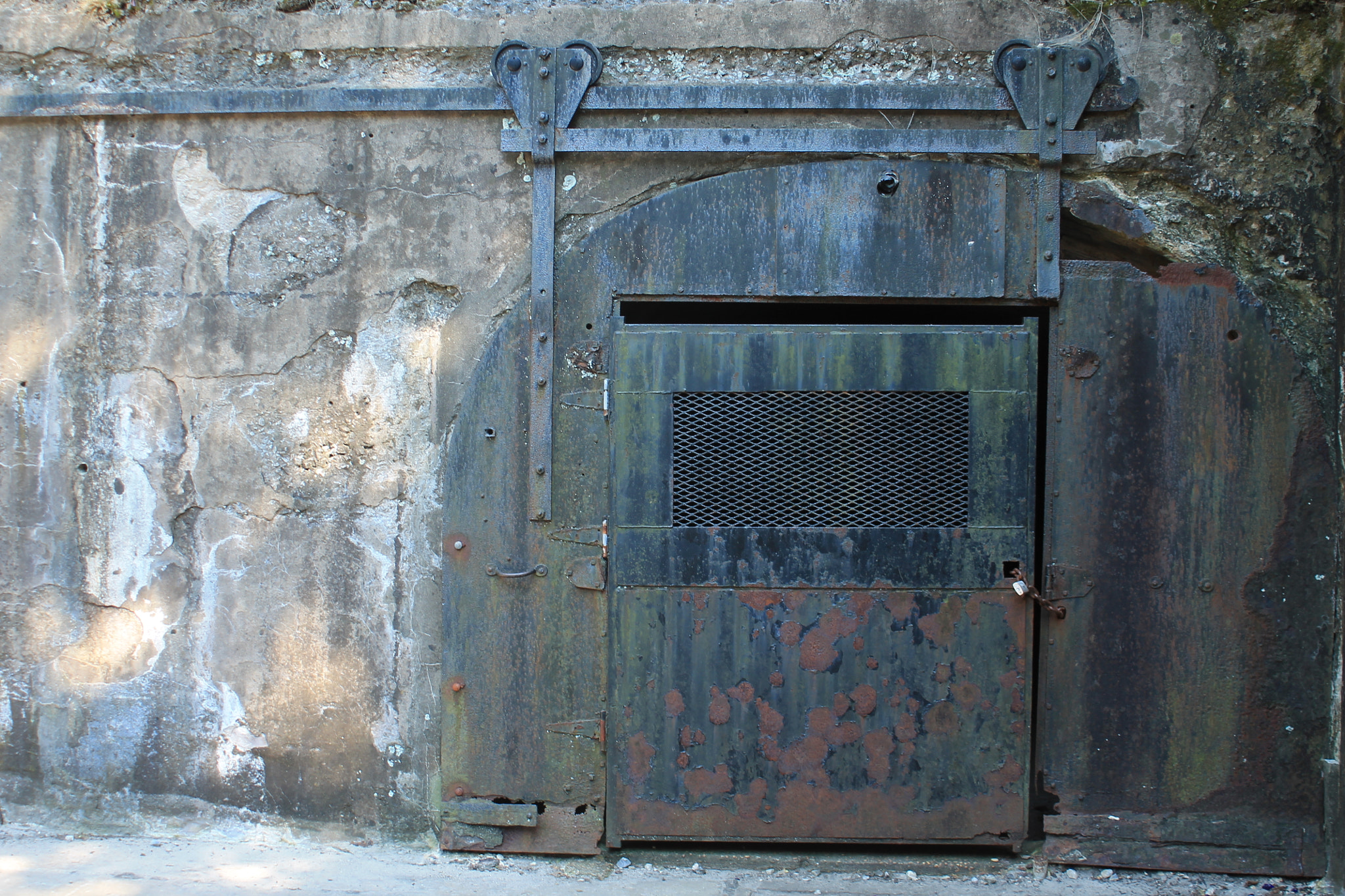 Canon EF 28-80mm f/3.5-5.6 sample photo. Img photography