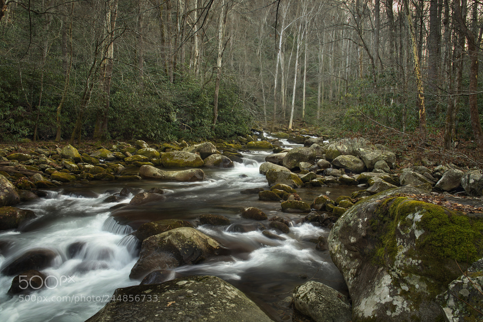 Nikon D7100 sample photo. Big creek photography