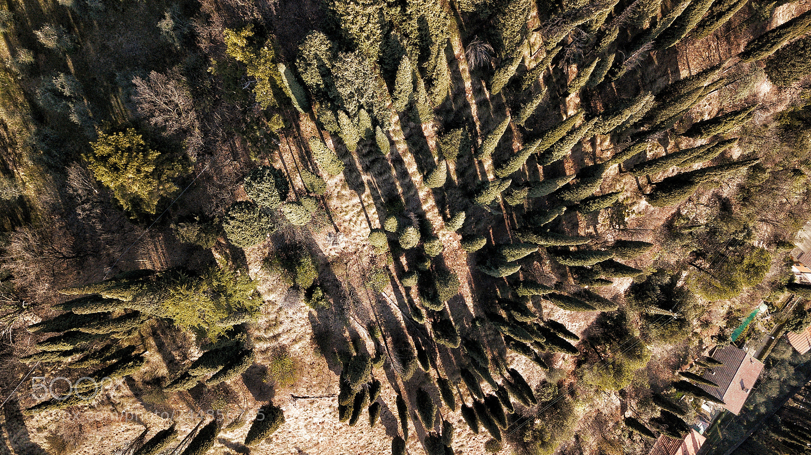 DJI FC220 sample photo. Untitled photography