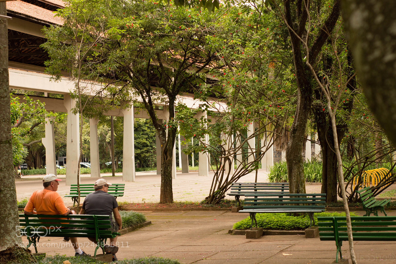 Canon EOS 700D (EOS Rebel T5i / EOS Kiss X7i) sample photo. Parque ibirapuera 2018 photography