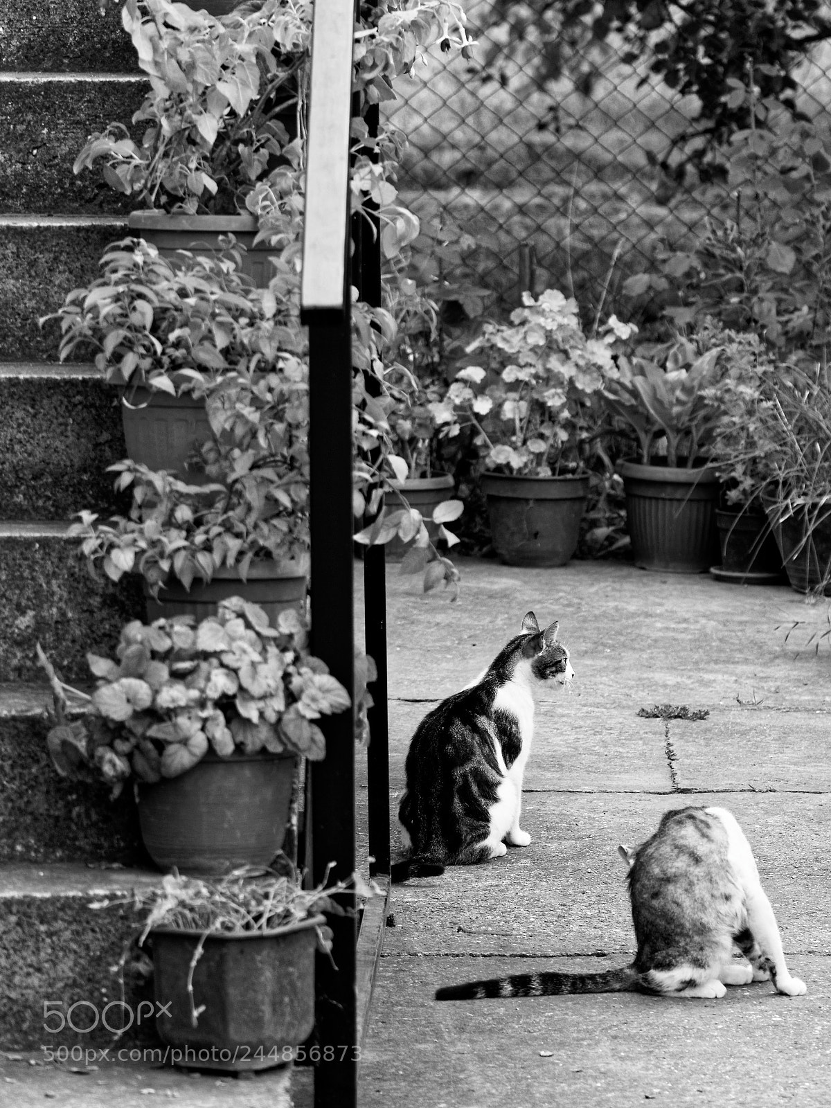 Nikon D7100 sample photo. Endless waiting photography