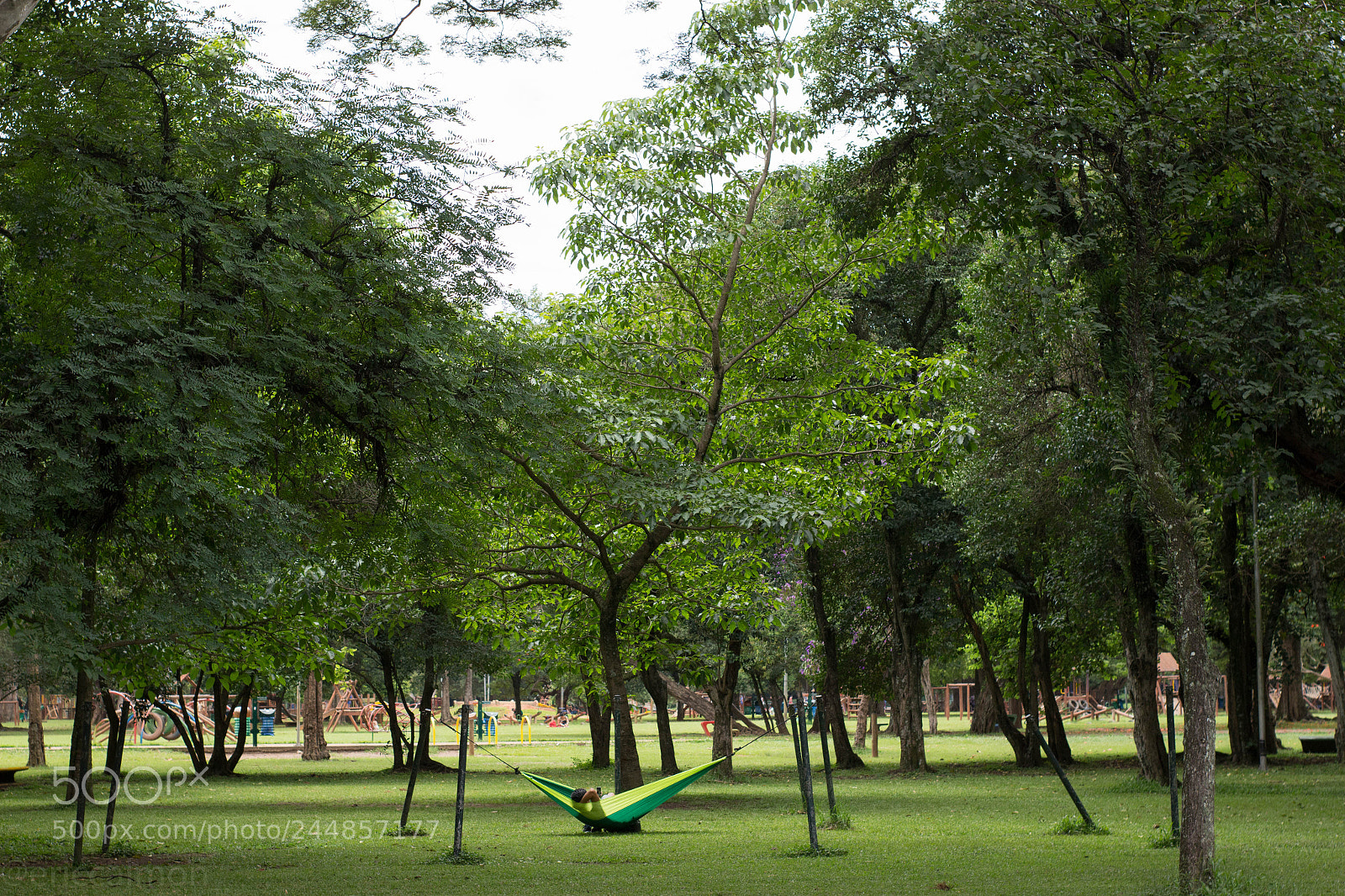 Canon EOS 700D (EOS Rebel T5i / EOS Kiss X7i) sample photo. Parque ibirapuera photography