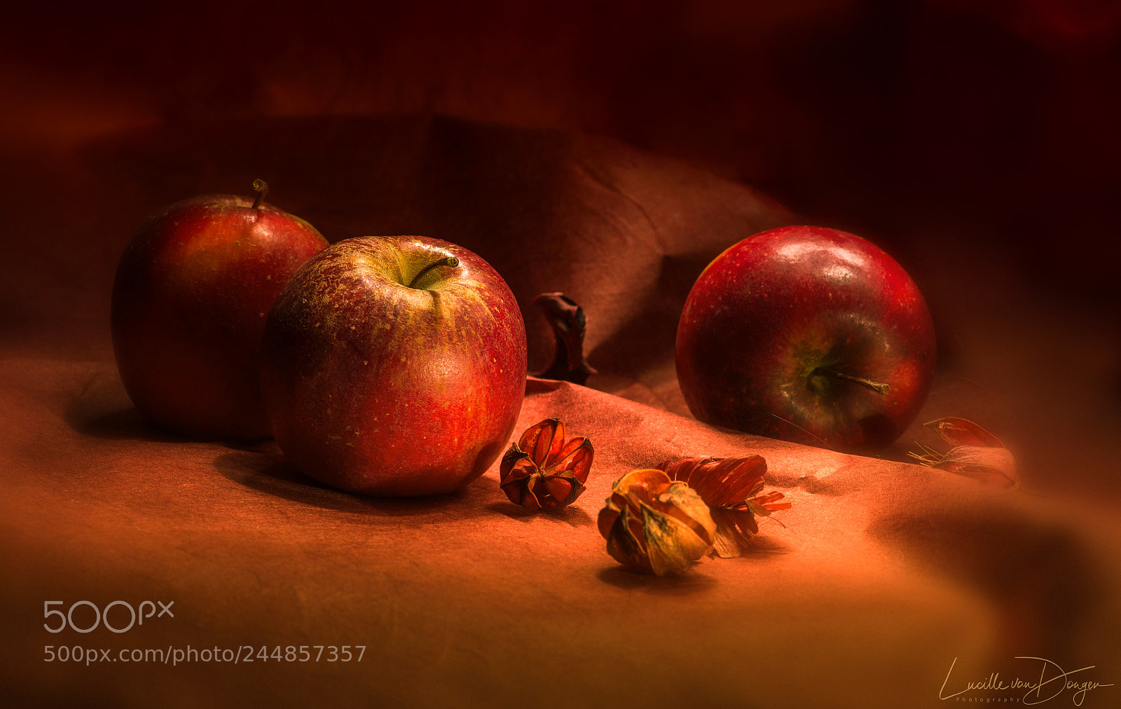 Nikon D610 sample photo. Apples photography