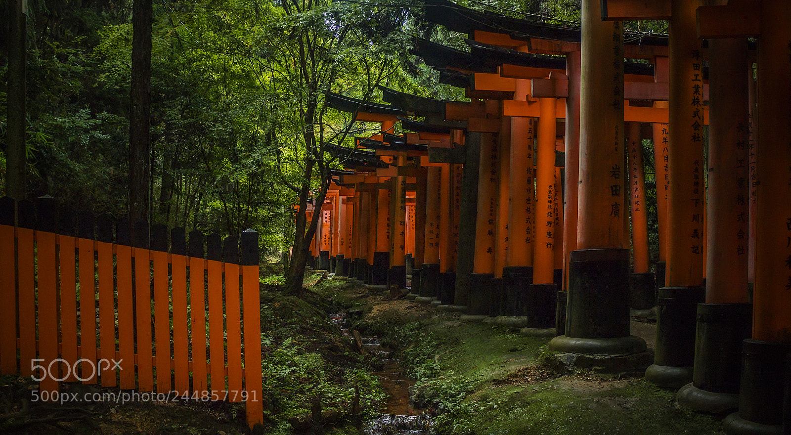 Canon EOS M sample photo. Off the road photography