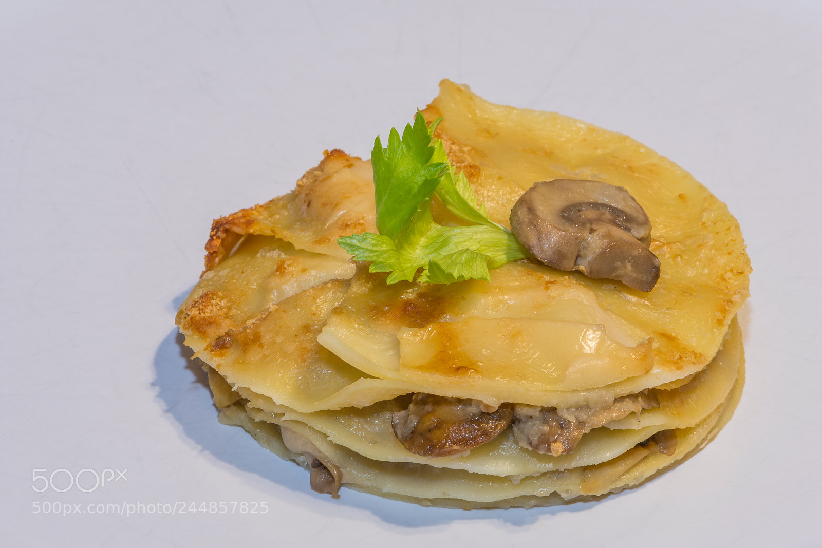 Nikon D7200 sample photo. Mushroom lasagna photography