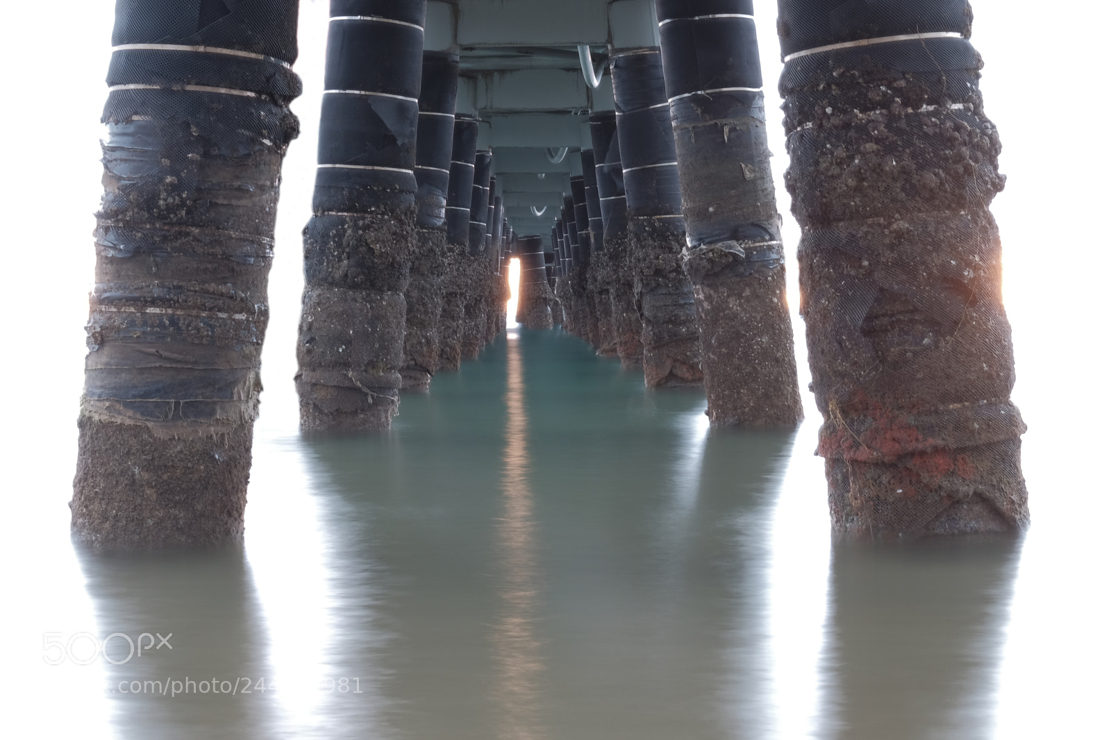 Fujifilm X-T1 sample photo. Palm cove jetty photography