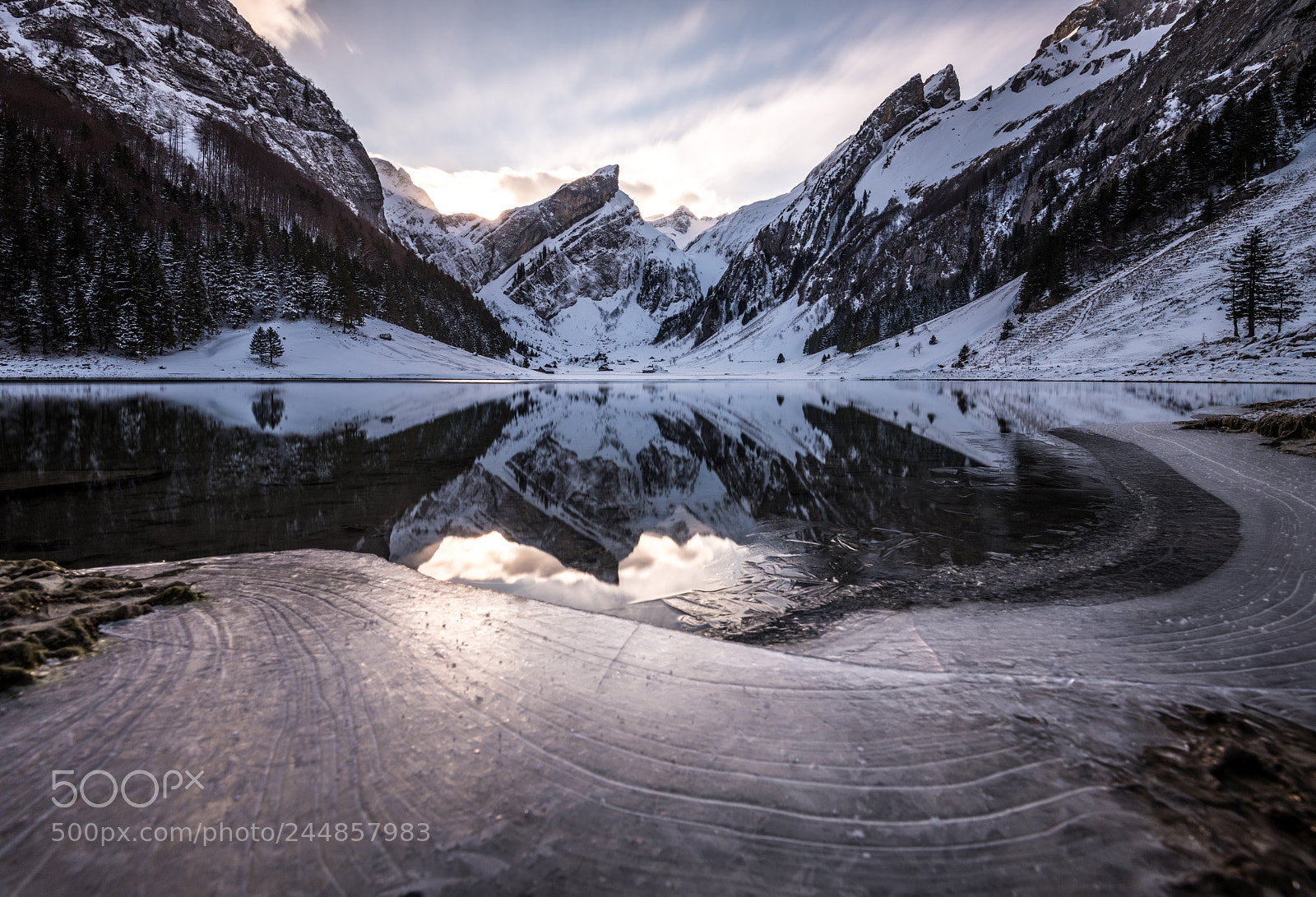 Nikon D850 sample photo. Seealpsee photography