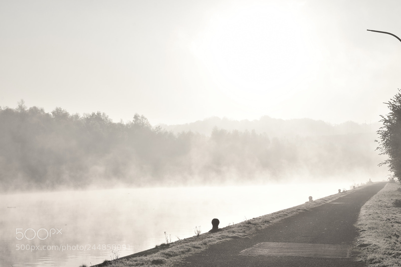 Nikon AF-S Nikkor 50mm F1.8G sample photo. () photography