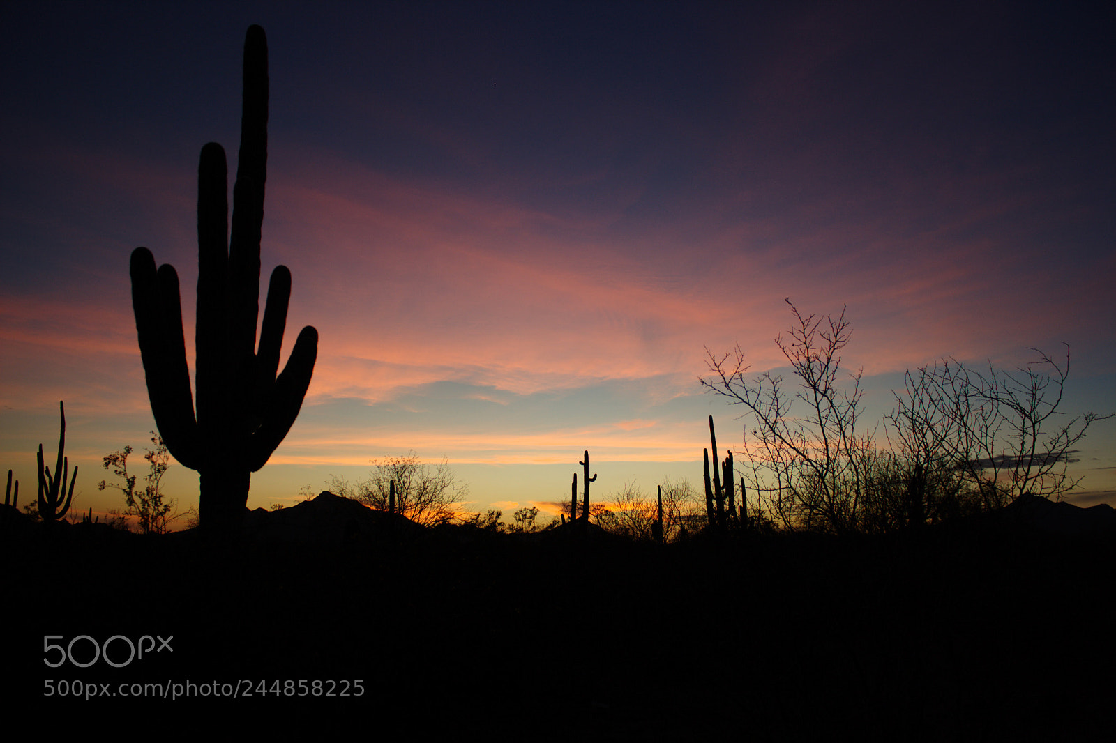 Canon EOS 1000D (EOS Digital Rebel XS / EOS Kiss F) sample photo. Pink desert photography