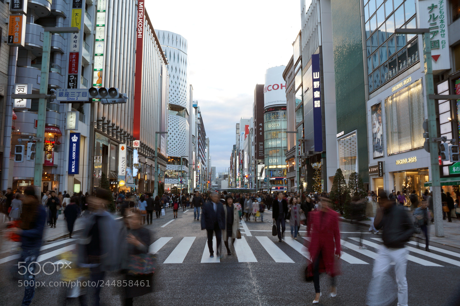 Sony SLT-A77 sample photo. Bustle photography