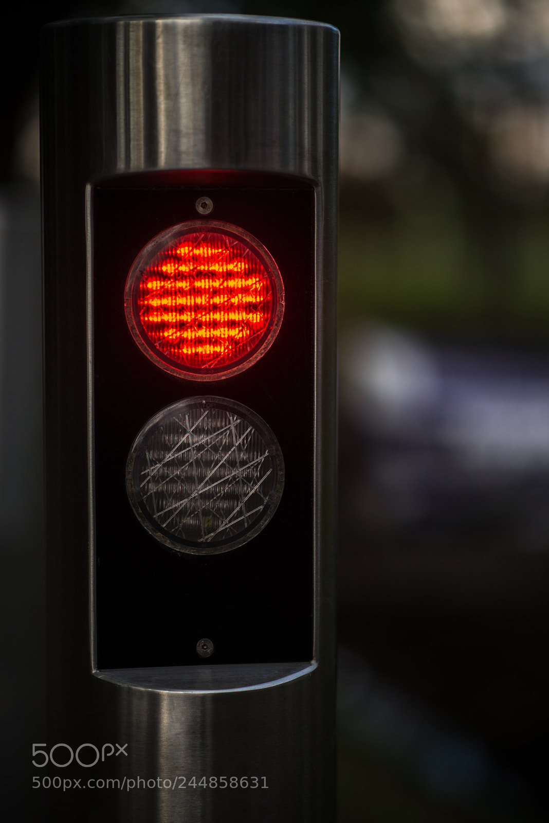 Nikon D800 sample photo. Red photography