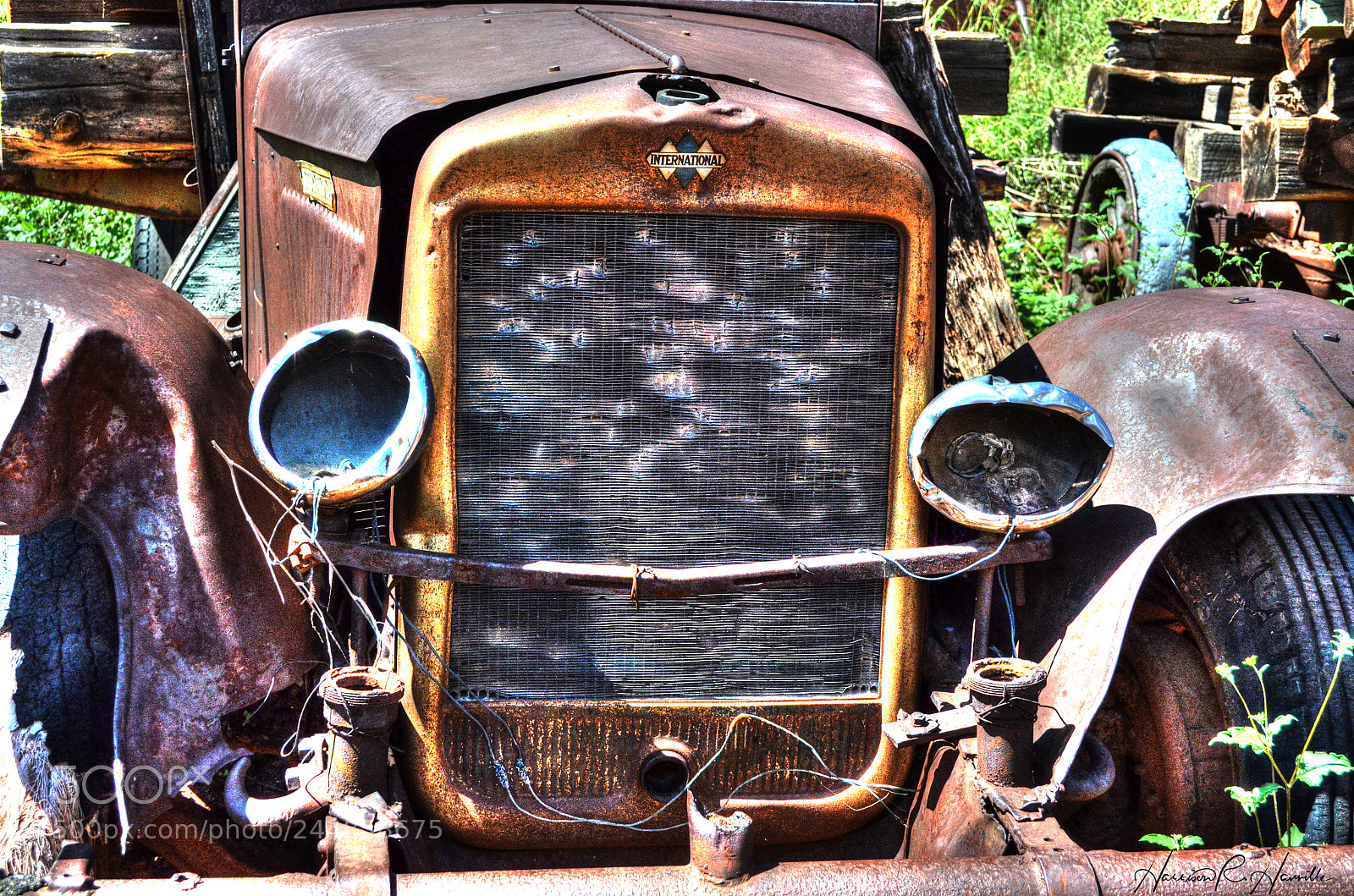 Nikon D5100 sample photo. International photography
