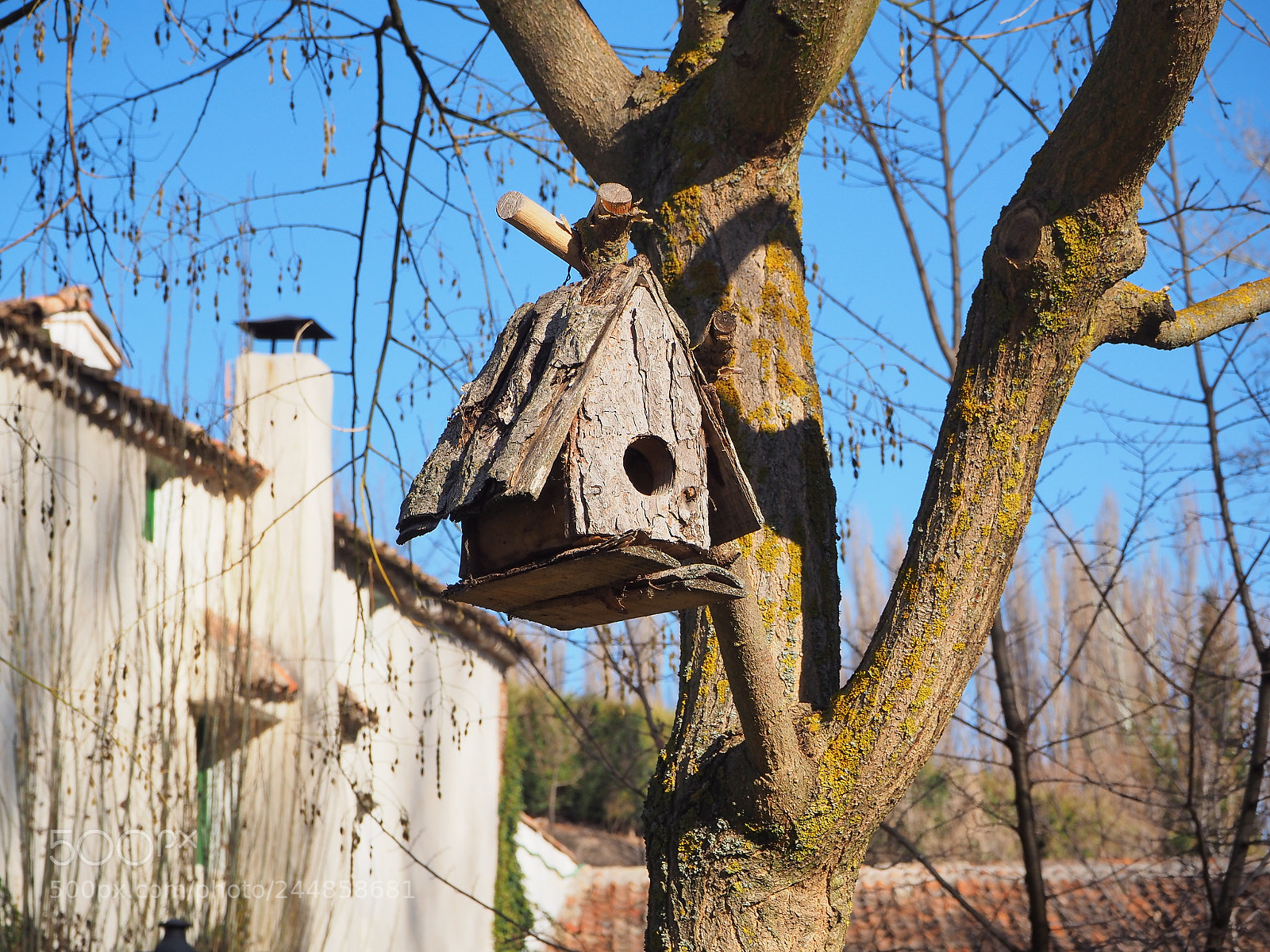 Olympus OM-D E-M10 sample photo. Nido con tejado photography