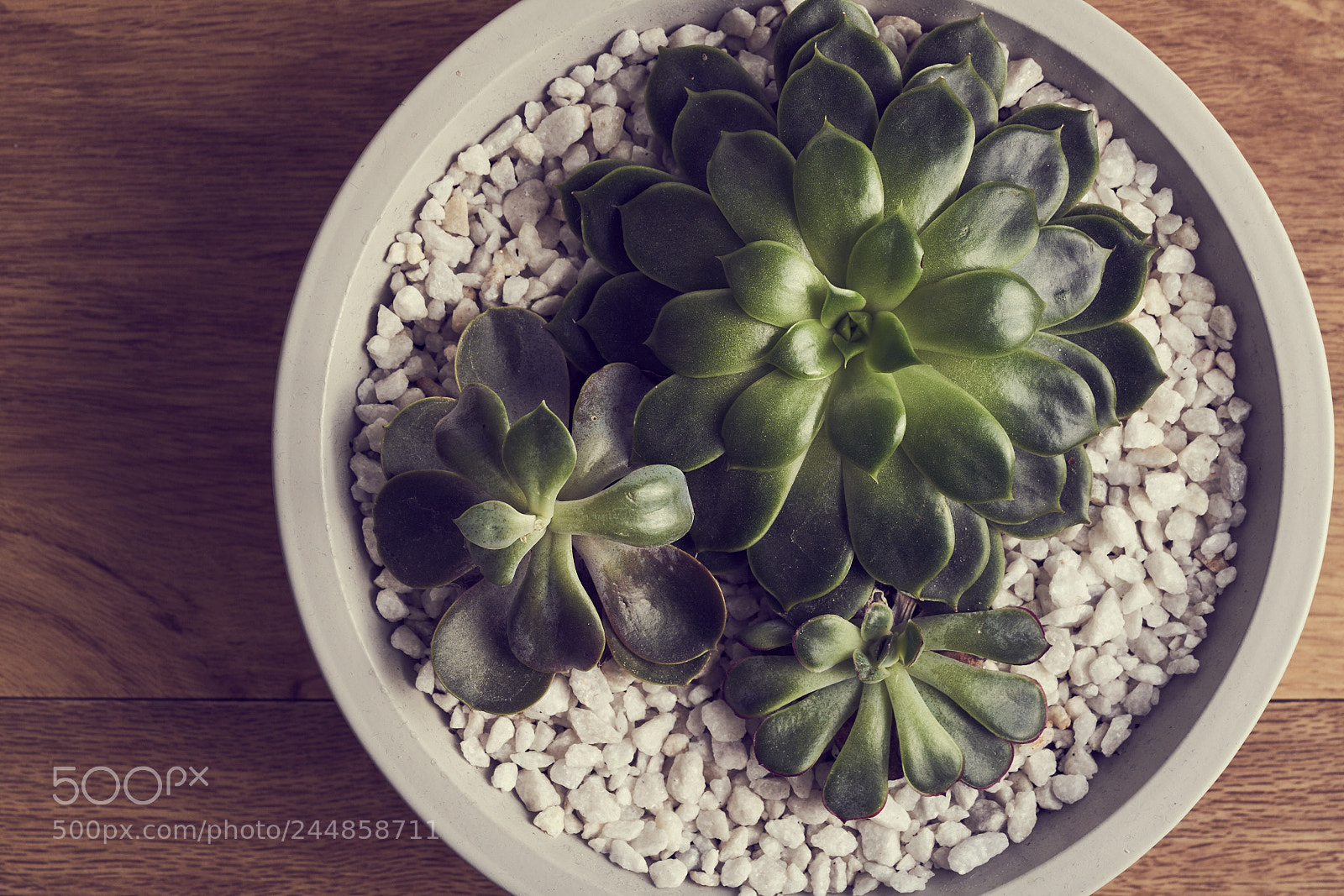 Sony a7R II sample photo. Day thirty four photography