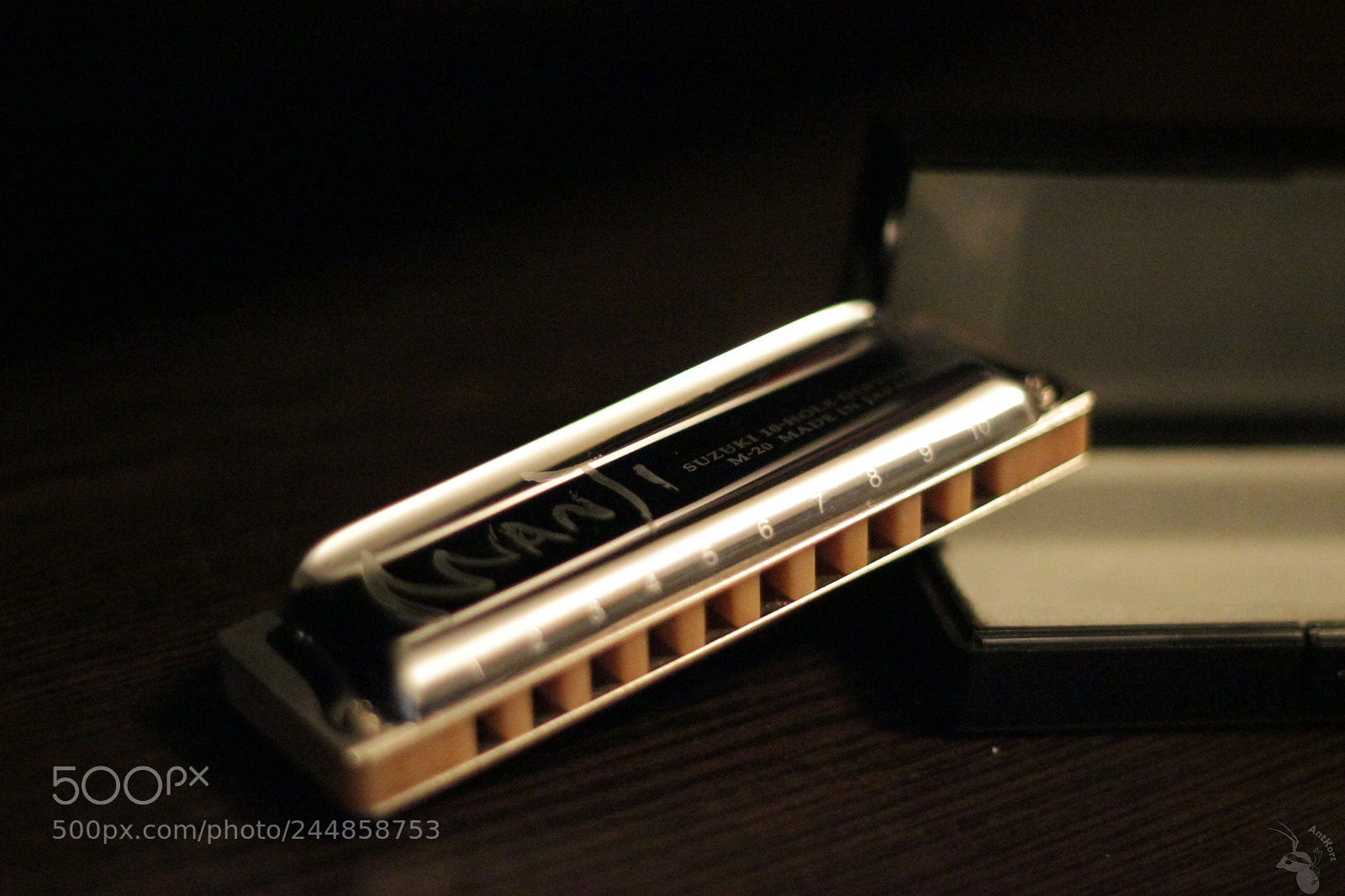 Canon EOS 550D (EOS Rebel T2i / EOS Kiss X4) + Canon EF 50mm F1.8 II sample photo. The harmonica photography