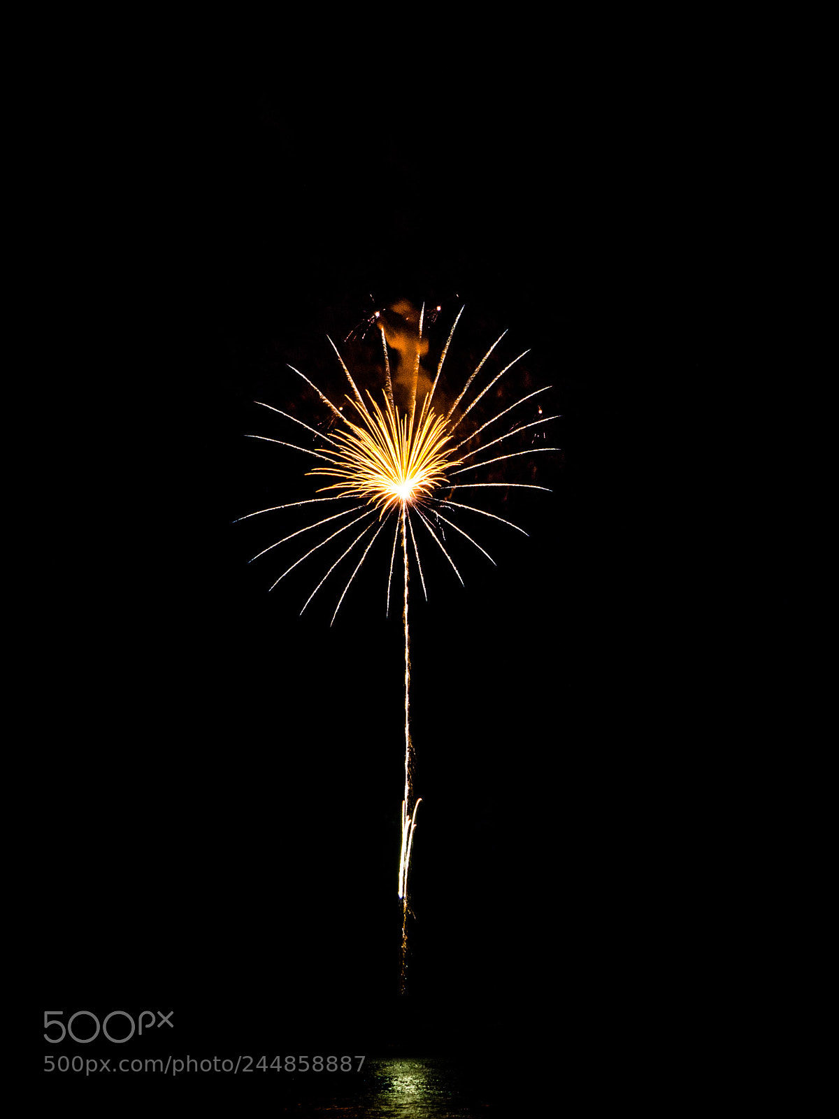 Sony SLT-A77 sample photo. Fire blossom photography
