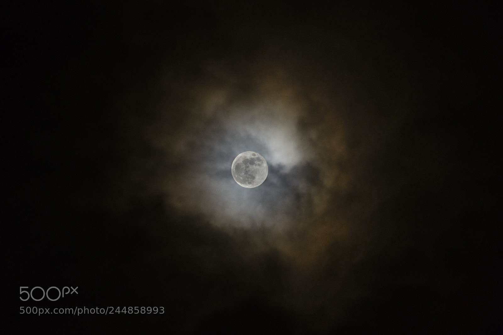 Nikon D800 sample photo. Last moon of january photography